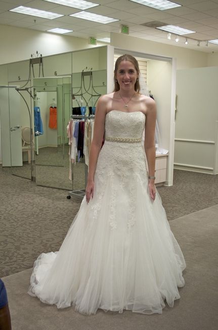 Wedding Dress Decision (Lots of Pictures)