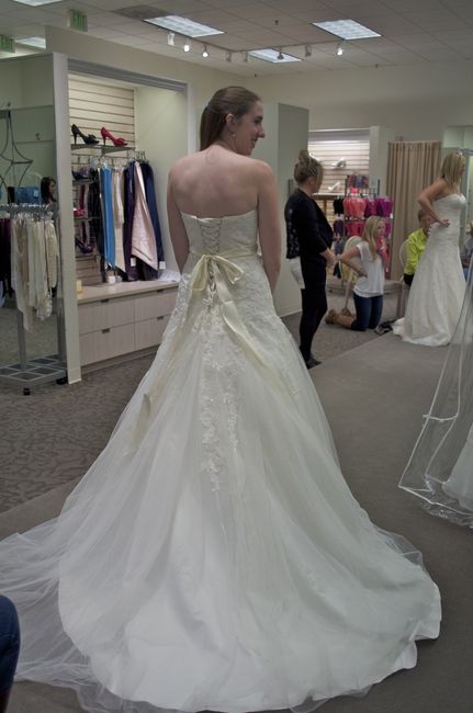 Wedding Dress Decision (Lots of Pictures)