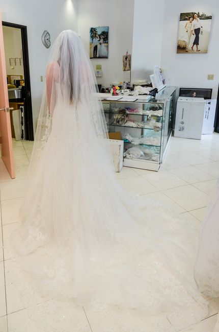 Share your veil!
