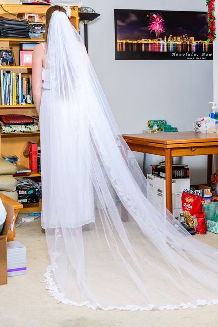 Show Me Your Veils! Plus Opinions Please! UPDATE