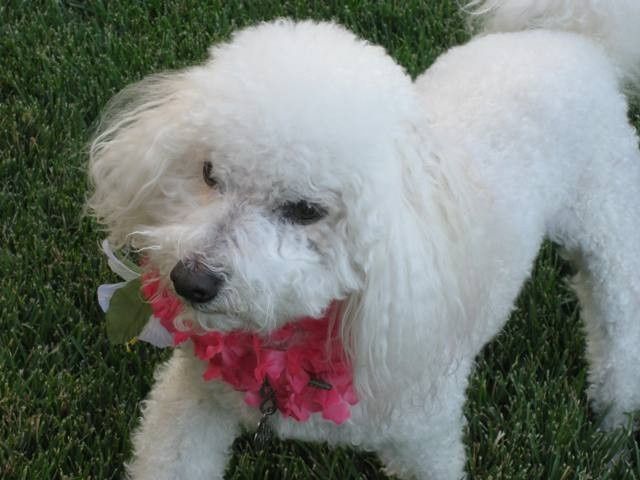 NWR Happy Fursday! Show me your fur babies!