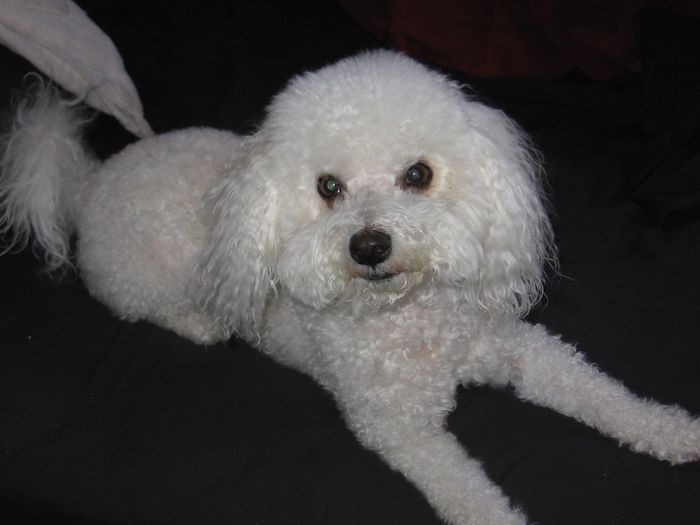 NWR: Share your funny pet stories!