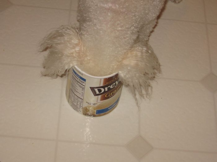 NWR: Share your funny pet stories!