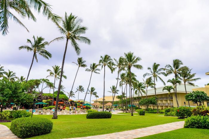 @HappyInHawaii - Burning Questions - Putting you on the spot about Hawaii!