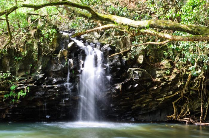 @HappyInHawaii - Burning Questions - Putting you on the spot about Hawaii!