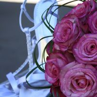 Starting out Wedding Photographers