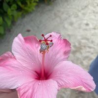 2023 Brides - Show us your ring! - 1