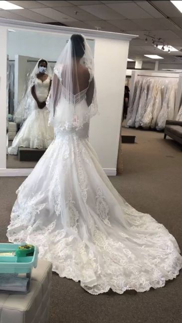 Cathedral veil or fingertip? 2