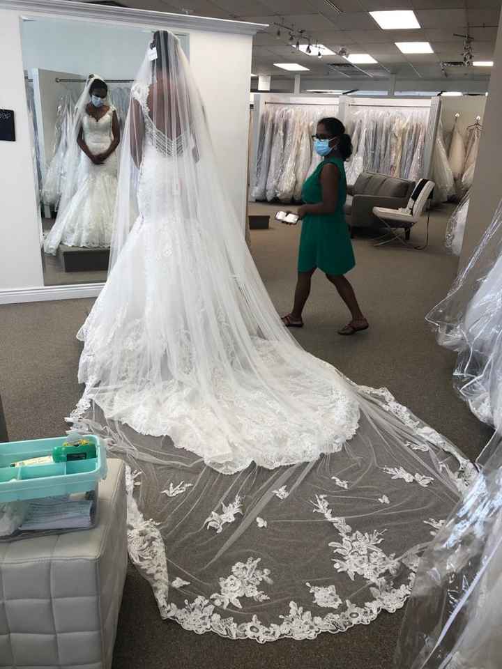 Cathedral veil or fingertip? - 4