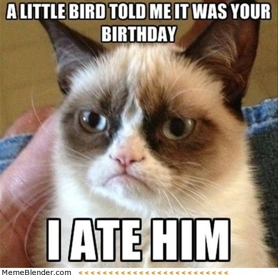 In honor of GameCox' birthday...TODAY IS MEME DAY.