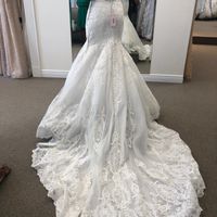 Cathedral veil or fingertip? - 1