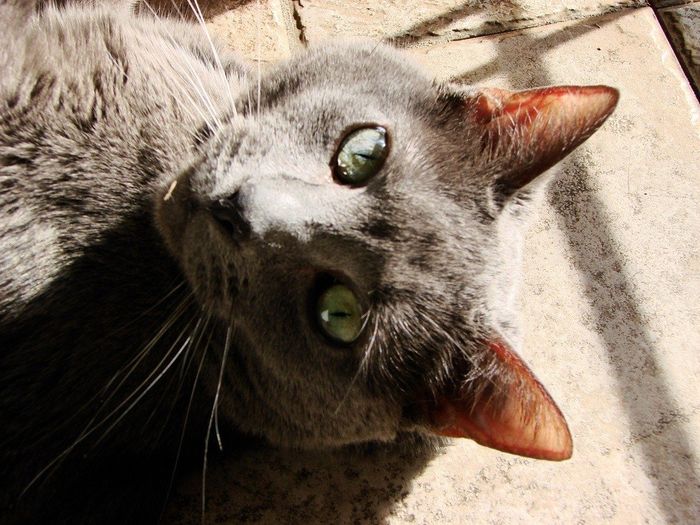 Show mee yourrr…..