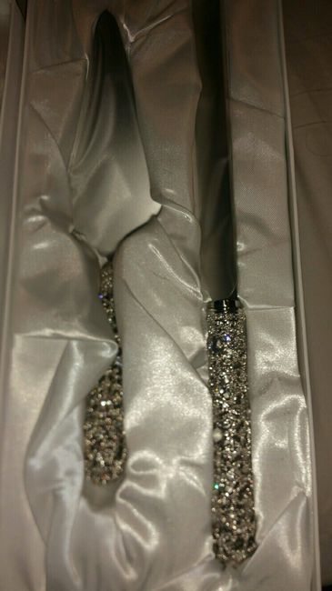 Cake knife & server - 1