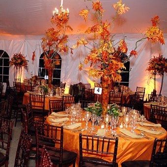 Booked our Reception venue...what would you do with this space????