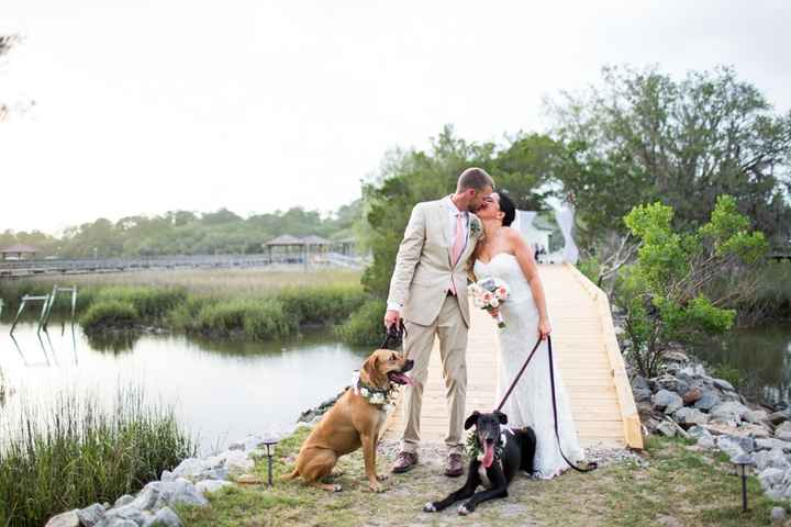 BAM!  And PRO sneak peek!