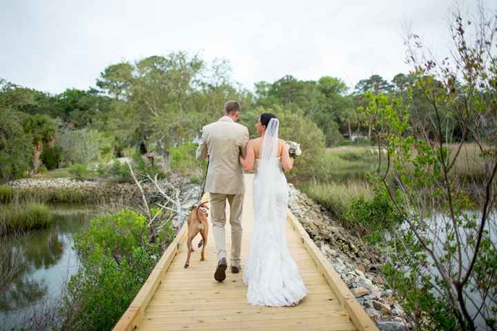 BAM!  And PRO sneak peek!