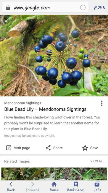 Help! What is this??