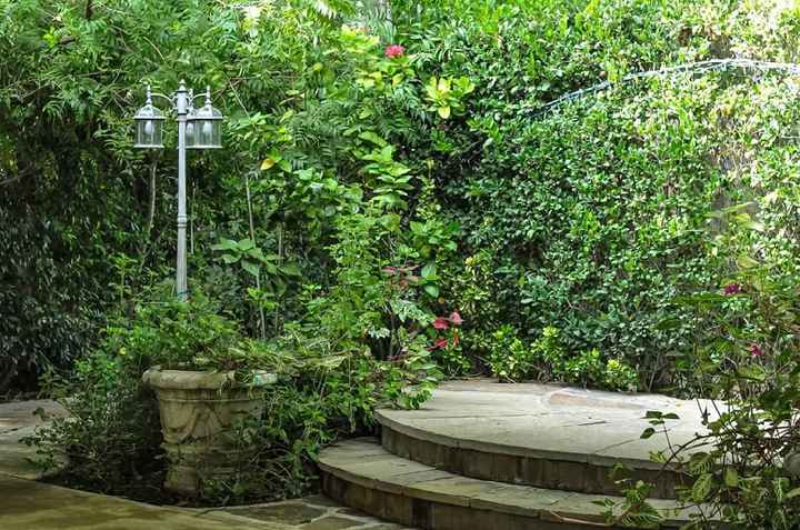 My Little Pony theme wedding! - 2