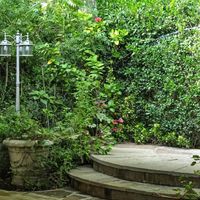 My Little Pony theme wedding! - 2