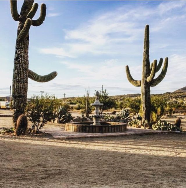 "Scenic" Backdrop at Ceremony Space