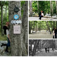 Forgot to include...