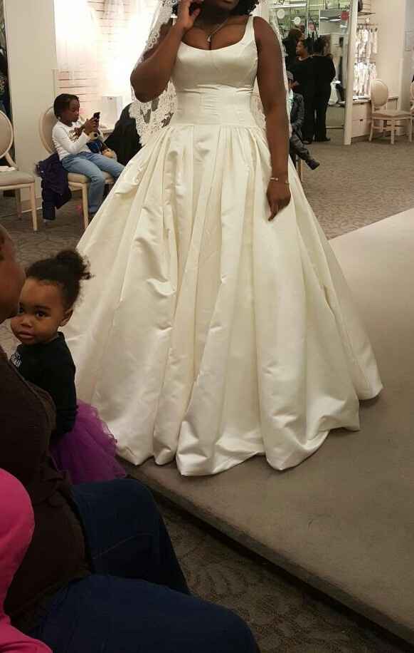 Wedding Dress Chronicles