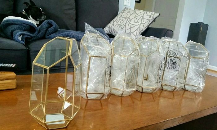 Terrariums