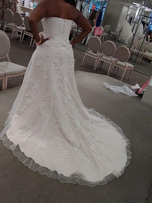 Dress Help! Please post your gowns!! 14