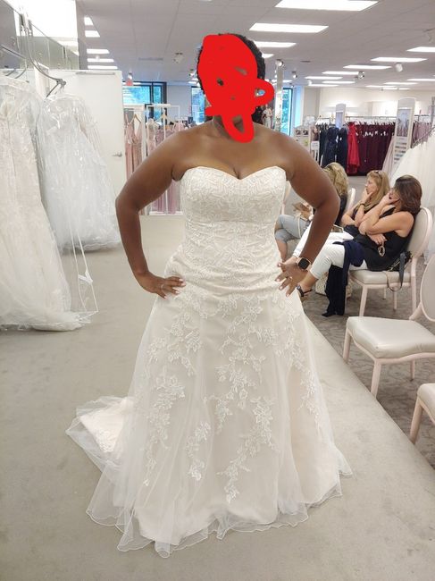 Dress Help! Please post your gowns!! 15