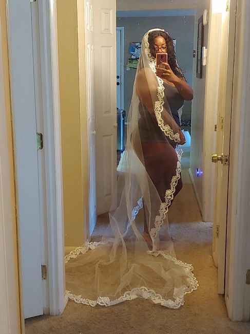 My veil came in. Happy dance! 1