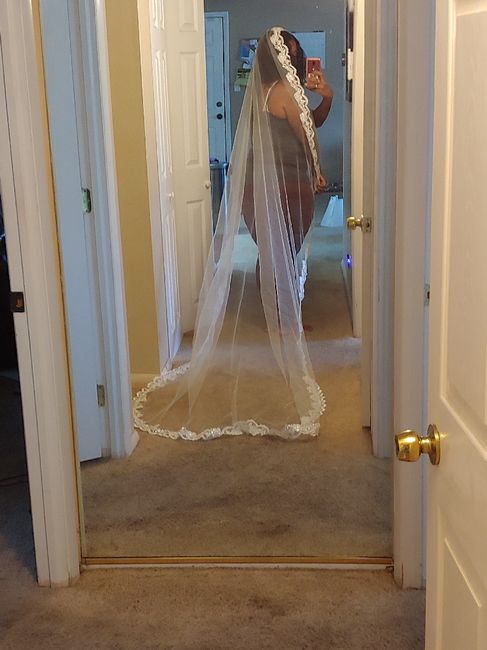My veil came in. Happy dance! 2