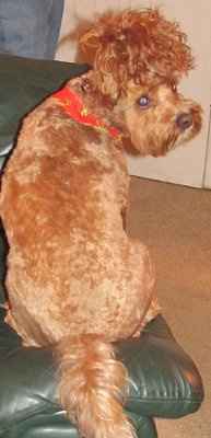 What about this hairstyle?