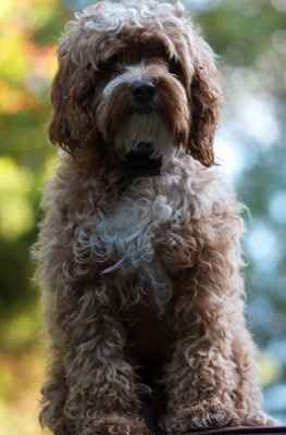 What about this hairstyle?