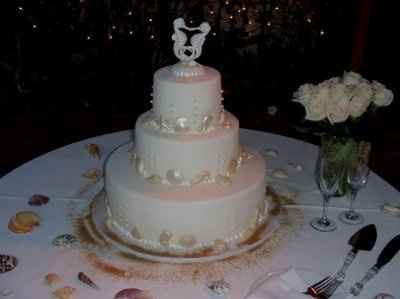 My dream wedding! -Scott Gibson Photography