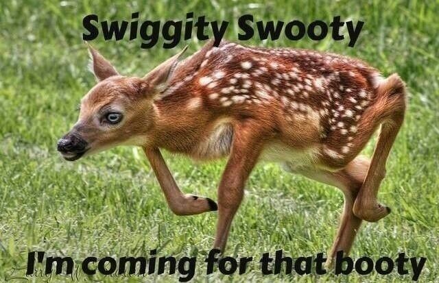 KWR: memes I send to my FMIL