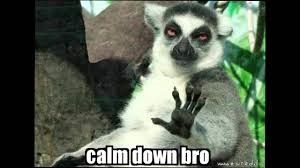 PSA - Because we are all thinking it