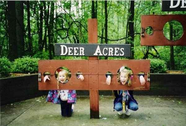 Introduce your MOH...