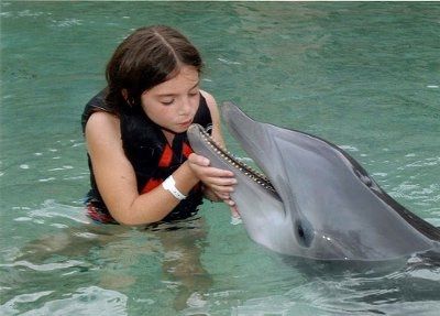 NWR: Swimming with Dolphins? Done it? Yaay or Naay?