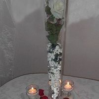 Ideas for Centerpieces with price range and sites to check!! Thanks!