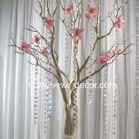 Ideas for Centerpieces with price range and sites to check!! Thanks!