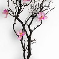 Ideas for Centerpieces with price range and sites to check!! Thanks!