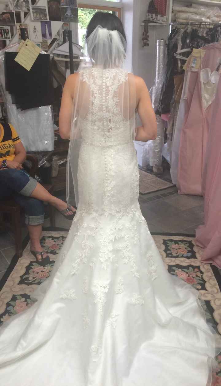 Veil Length?