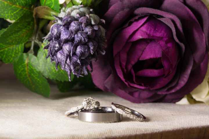 Rings!