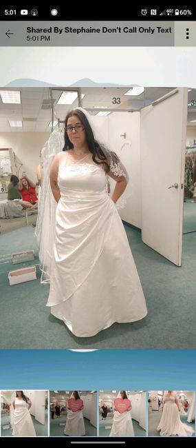 How much did your wedding dress alterations cost? - 1