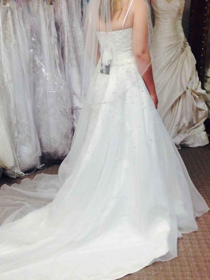 I did it!!! I bought my wedding dress and veil!!!! (with pictures) :)