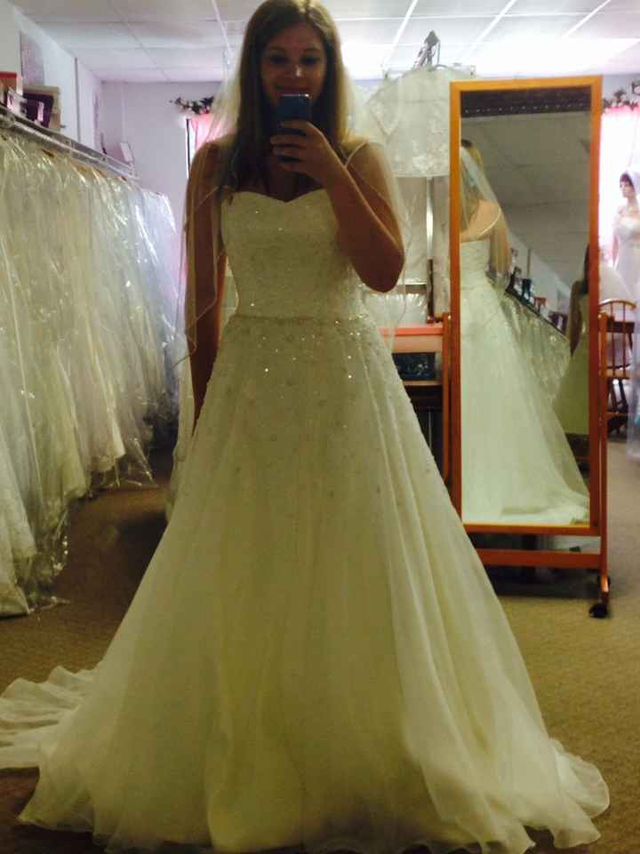 I did it!!! I bought my wedding dress and veil!!!! (with pictures) :)