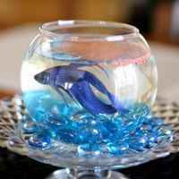 Help with a simple centerpiece!