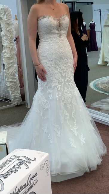 Opinion on dress! Please help! 1