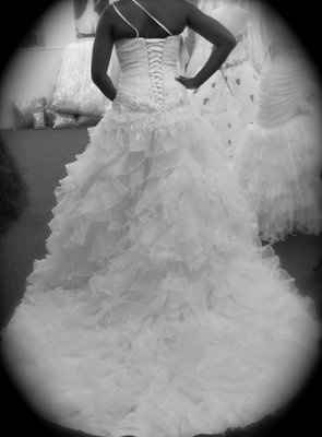 **Hey ladies, my dress is in and I have pics**(w/color pic)