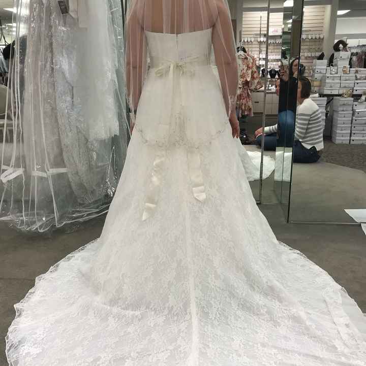  What kind of veil? - 2